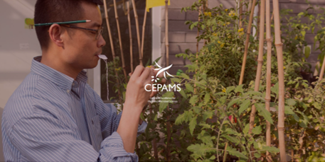 Call for CEPAMS Group Leader Positions