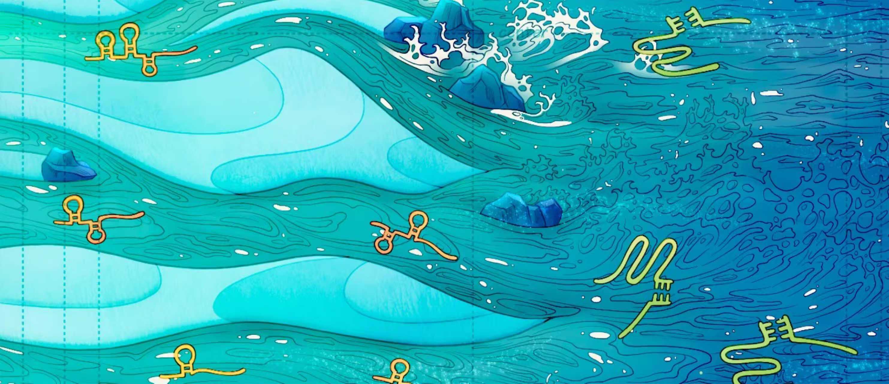 Scientists Reveal Functional RNA Splitting Mechanism Behind Origin of Type V CRISPR Systems