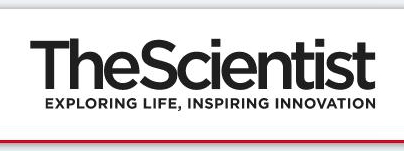 Mitochondrial Stress Is Passed Between Generations