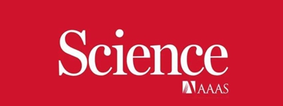 Gene-edited Wheat Resists Dreaded Fungus without Pesticides