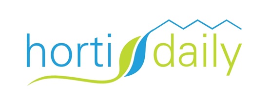 Looking at the Ways that Tomato Plants Demonstrate Heat Resistance
