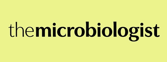 Scientists develop rapid and scalable platform for in planta directed evolution