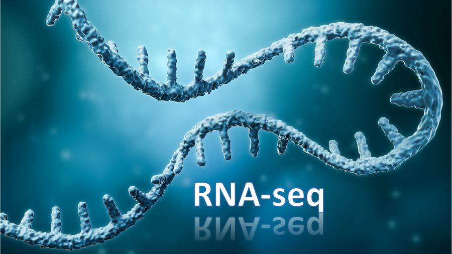 Scientists Developed an Efficient Gene Expression Profiling Approach for Transcriptomics