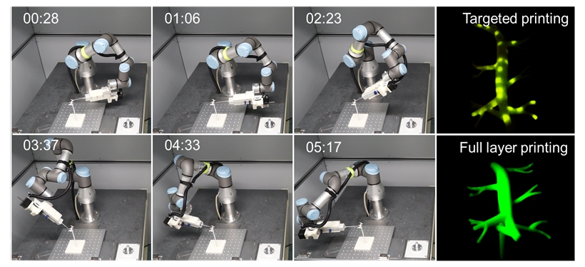 A Novel 3D Bioprinting Platform Breaks Through the Limitations of Conventional Bioprinting Techniques
