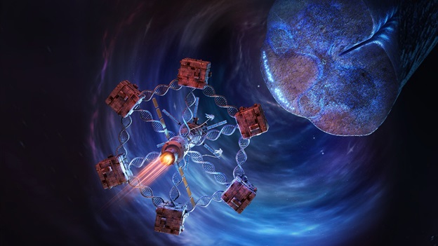 Researchers Identify Enhancer Networks Driving Gene Expression during Spinal Cord Development