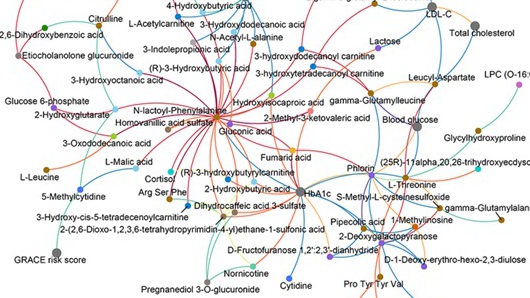 Researchers Reveal Metabolic Dysregulation Distinct to Diabetic AMI