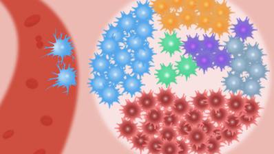 Technical Advances, Challenges and Promises of Single-cell Lipidomics