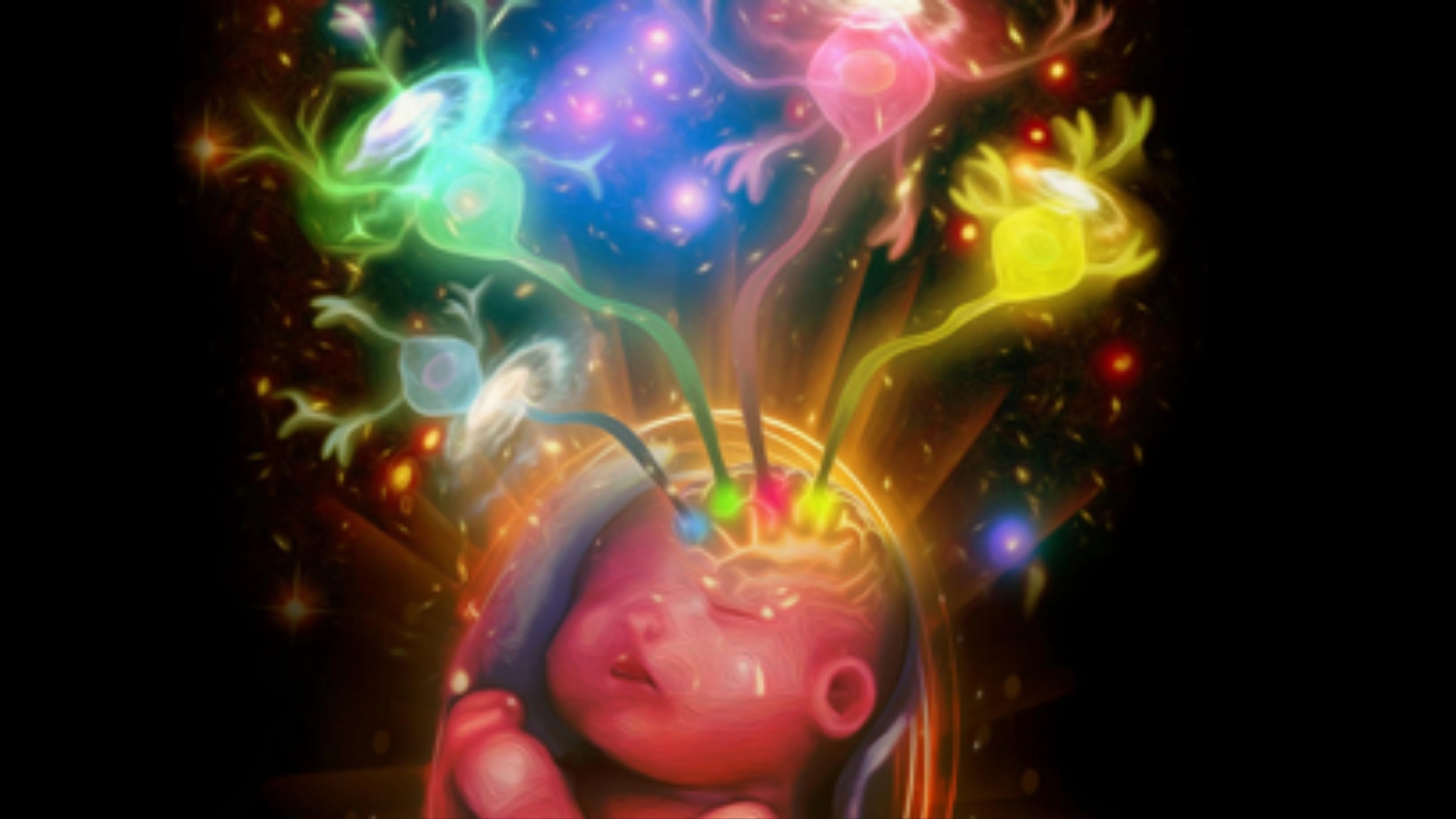 Researchers Unveil Evolutionary Conservation and Innovation in Mammalian Hypothalamus Development