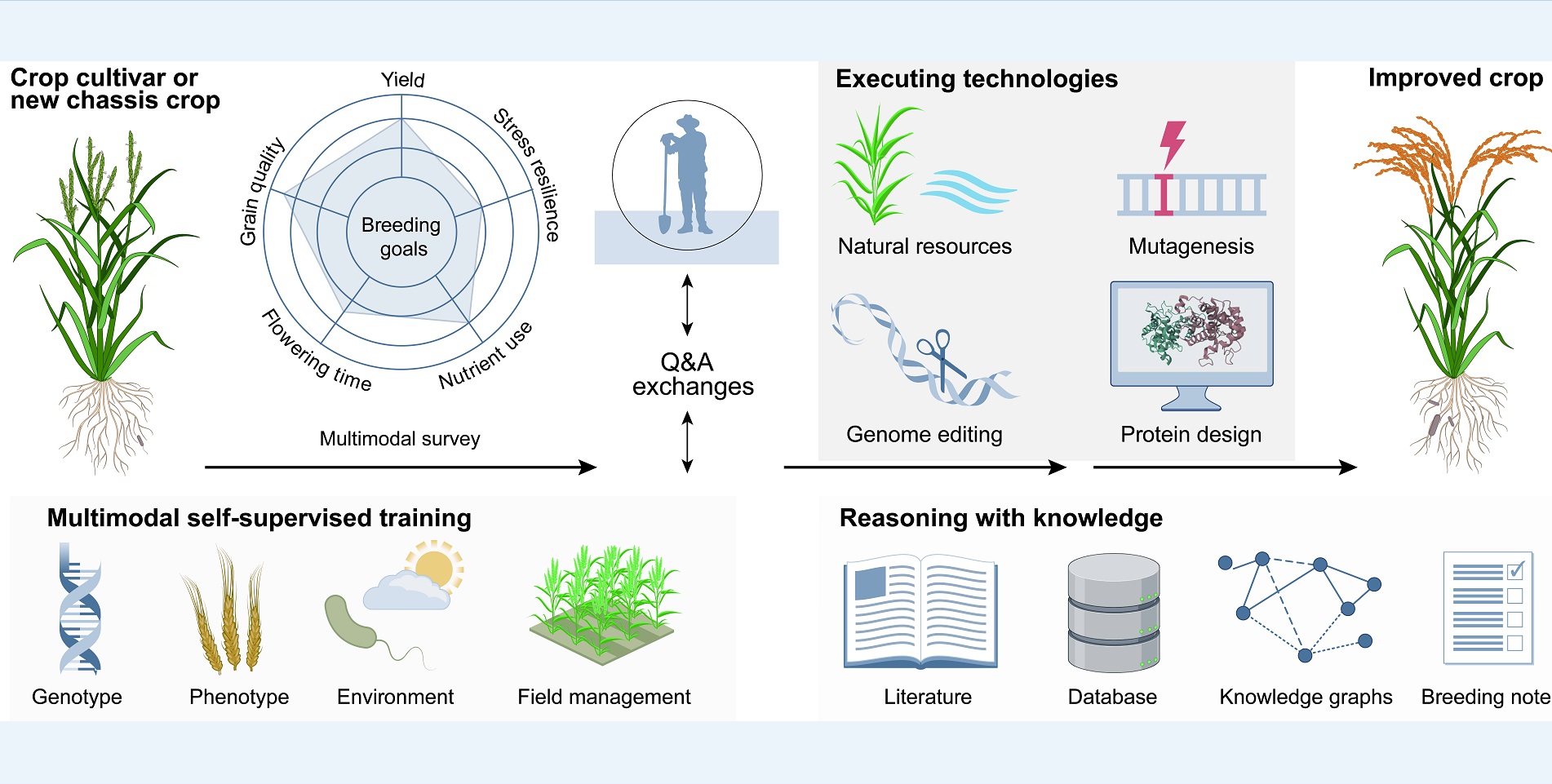 Scientists Propose AI-Driven Biotech Model&nbsp;for&nbsp;Future Crop Breeding