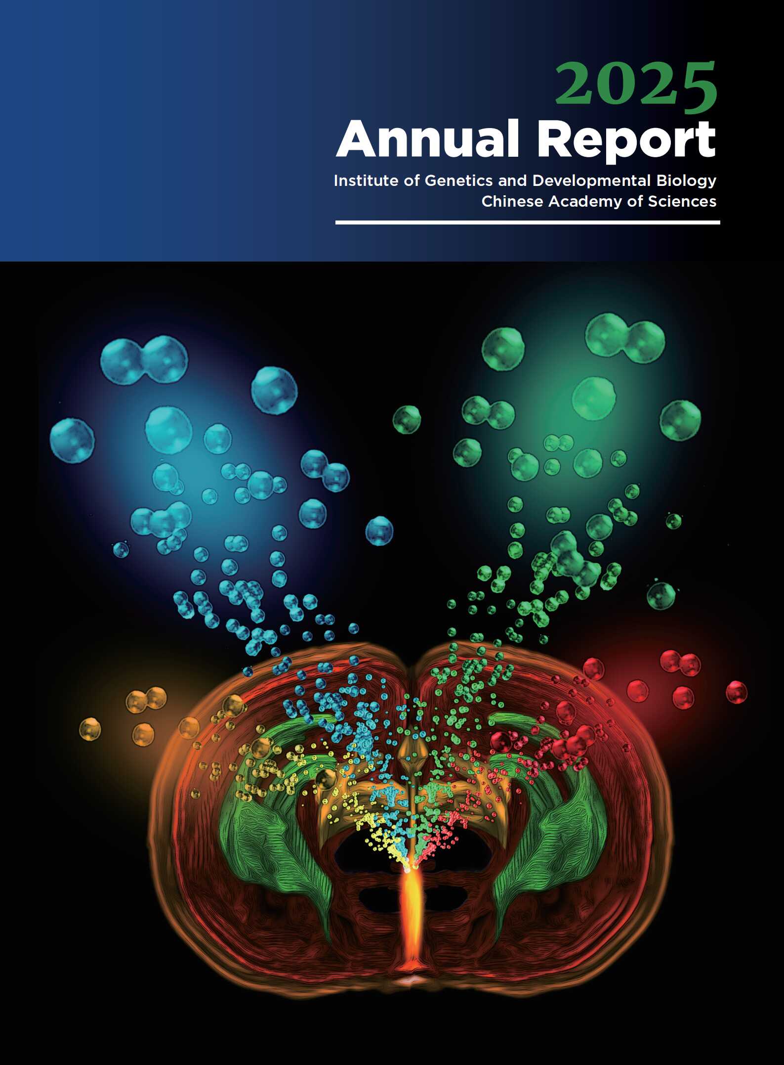Annual Report 2025