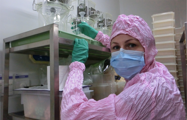 Postdoc Program