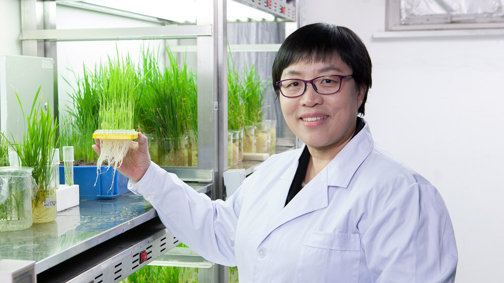 Congratulations to Prof. CAO Xiaofeng on Her Election as a Fellow of the Royal Society